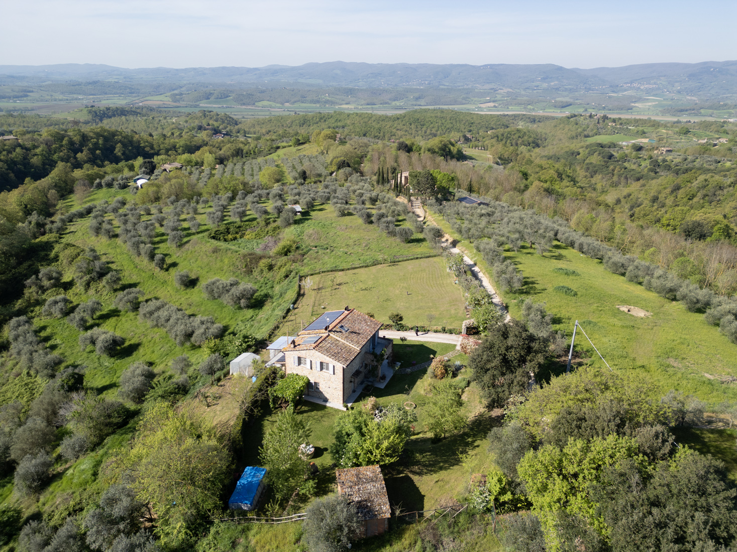 Tenuta L’Oliveta