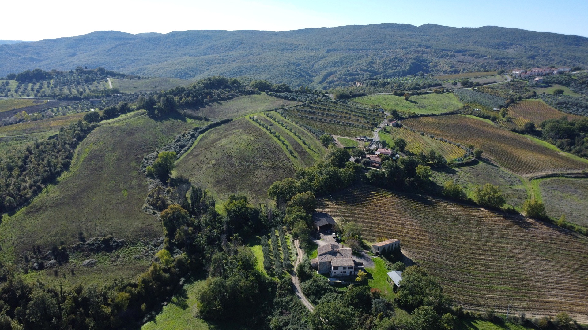 Tenuta Agricola Colle degli Etruschi